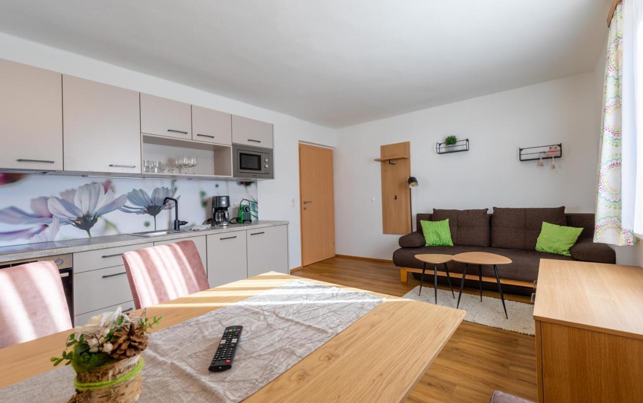 Haus Pitzer/Apartments Troicher Schladming Eksteriør billede