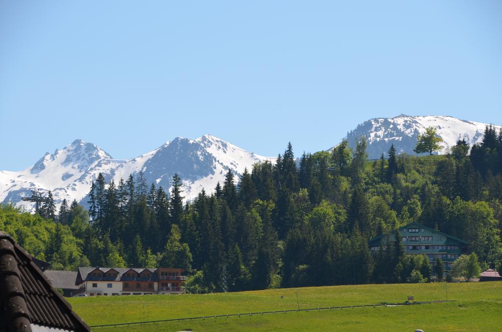 Haus Pitzer/Apartments Troicher Schladming Værelse billede