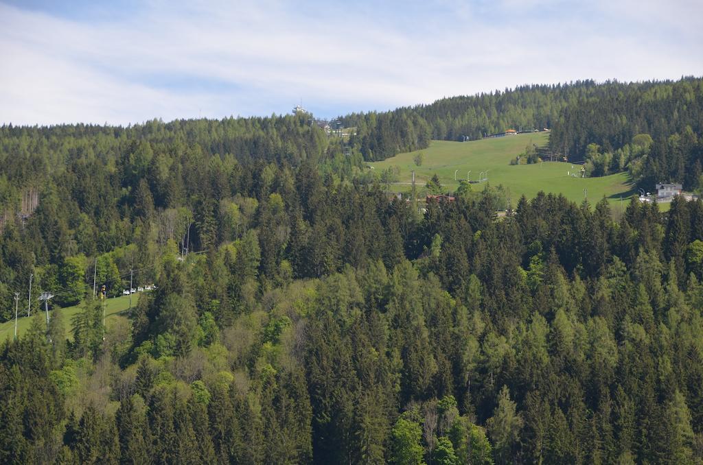 Haus Pitzer/Apartments Troicher Schladming Værelse billede